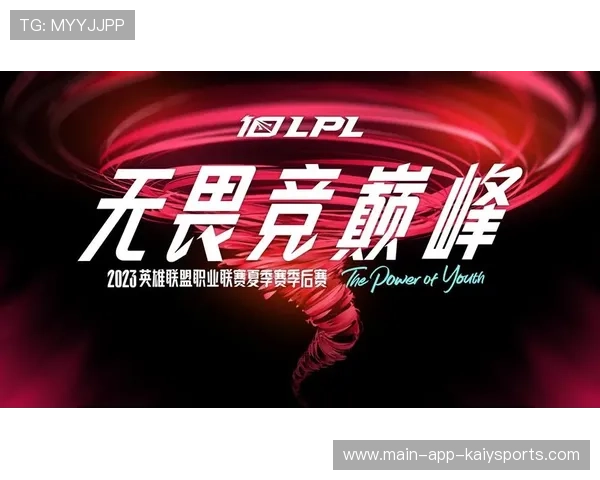 职业联赛的赞助商权益回报分析报告